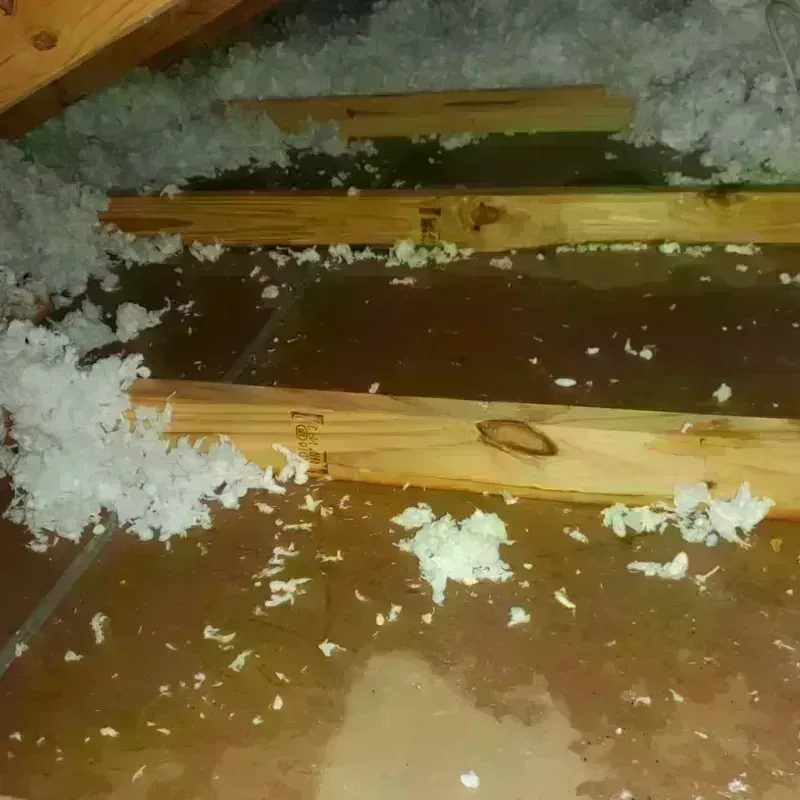 Attic Water Damage in Wyoming, MN