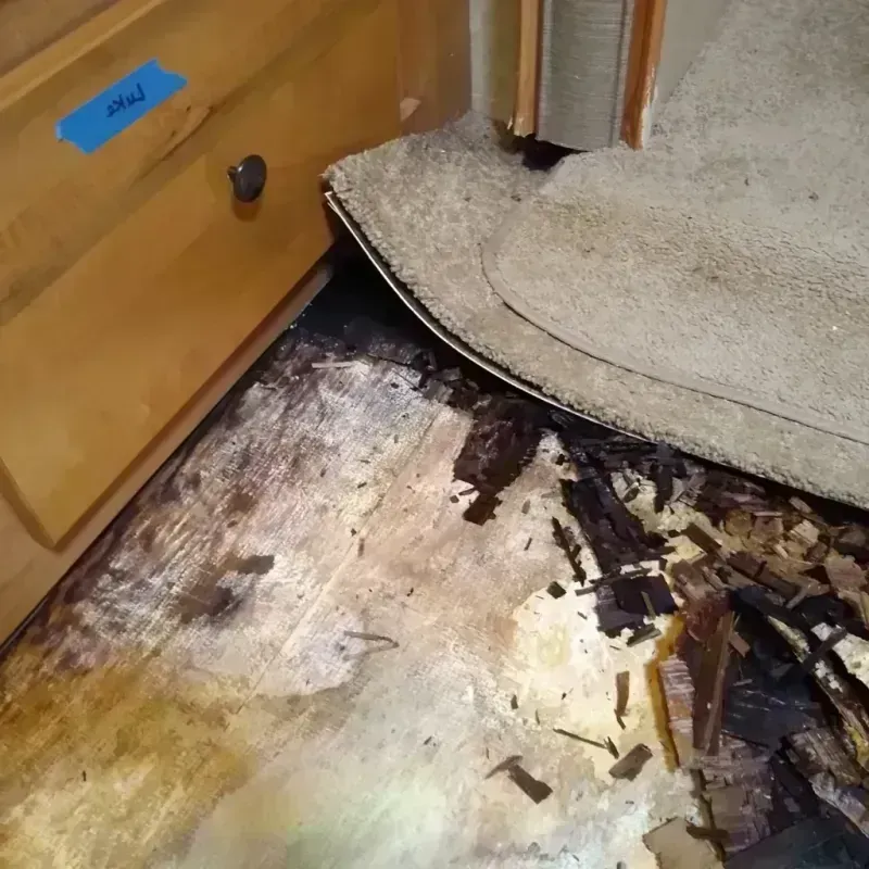 Wood Floor Water Damage in Wyoming, MN